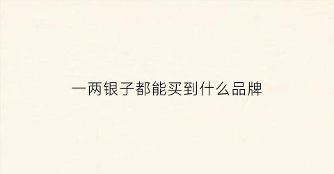 一两银子都能买到什么品牌