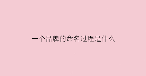 一个品牌的命名过程是什么(一个品牌的命名过程是什么样的)