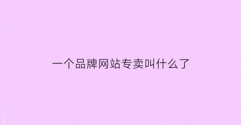 一个品牌网站专卖叫什么了(专卖品牌的网站)