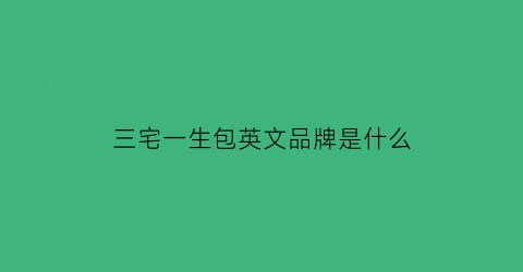 三宅一生包英文品牌是什么(三宅一生的包包质量怎么样)