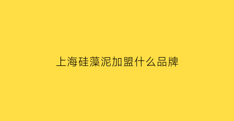 上海硅藻泥加盟什么品牌(上海硅藻泥加盟什么品牌好)