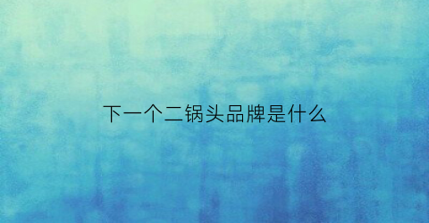 下一个二锅头品牌是什么(下一个二锅头品牌是什么名字)