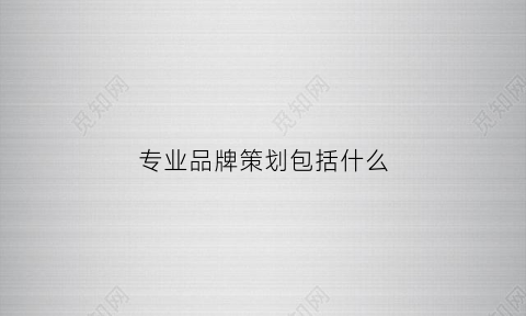 专业品牌策划包括什么(品牌专业化是什么意思)