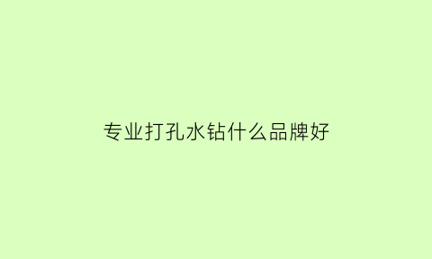 专业打孔水钻什么品牌好(打孔水钻种类)