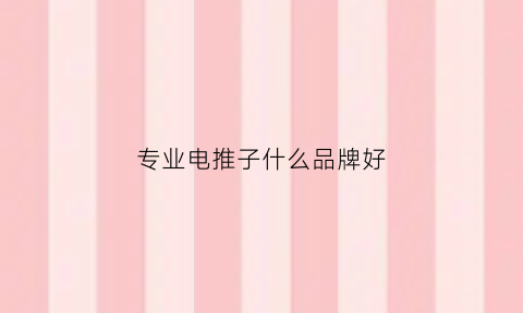 专业电推子什么品牌好