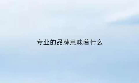 专业的品牌意味着什么