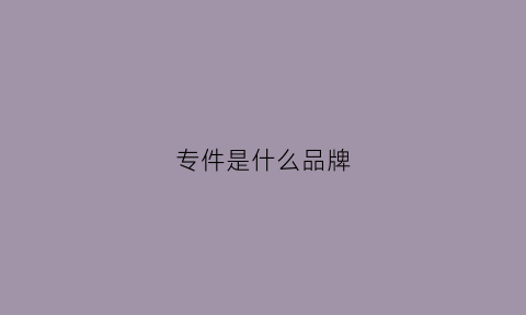 专件是什么品牌(专件是什么品牌的衣服)