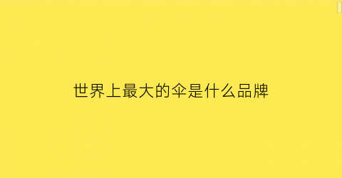 世界上最大的伞是什么品牌(最大的伞图片)