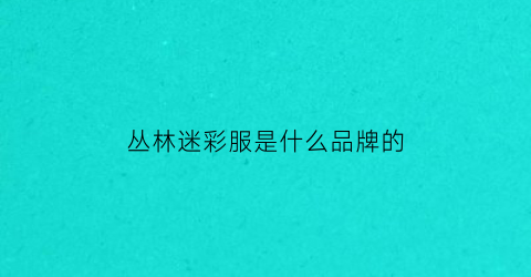 丛林迷彩服是什么品牌的(丛林迷彩是什么样的)