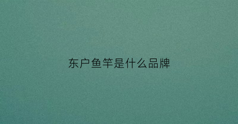 东户鱼竿是什么品牌(东户鱼竿是什么品牌好)