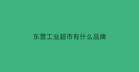 东营工业超市有什么品牌(东营工贸园)