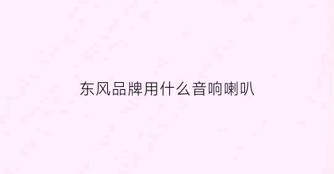 东风品牌用什么音响喇叭