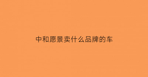 中和愿景卖什么品牌的车(中和远景)