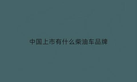 中国上市有什么柴油车品牌(2021年上市的柴油车)