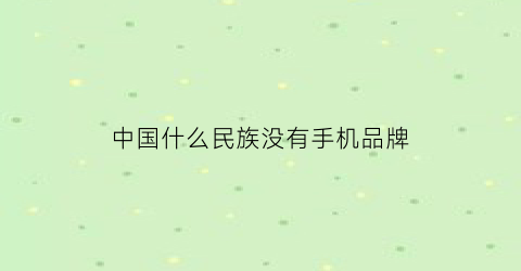 中国什么民族没有手机品牌(中国人没有手机)