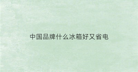 中国品牌什么冰箱好又省电(中国品牌什么冰箱好又省电又实惠)