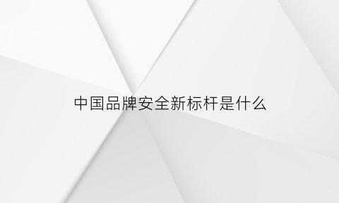 中国品牌安全新标杆是什么(中国品牌安全门)