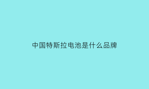 中国特斯拉电池是什么品牌