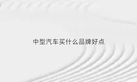 中型汽车买什么品牌好点(中型车买哪一个要好一点)