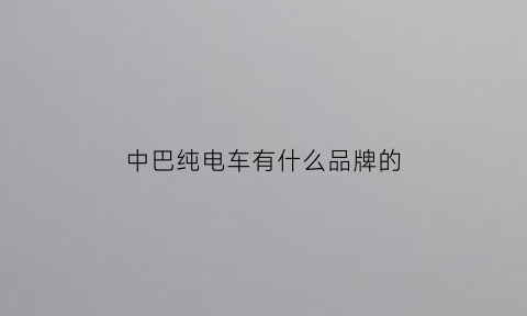 中巴纯电车有什么品牌的(纯电中巴车多少钱一台)