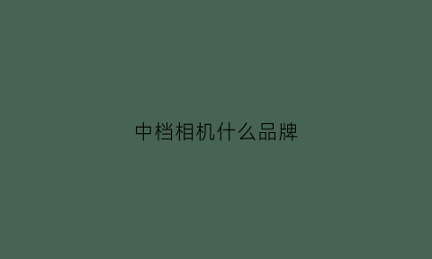 中档相机什么品牌