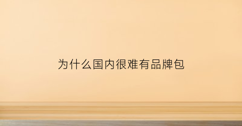为什么国内很难有品牌包(为什么那么多人买名牌包包)