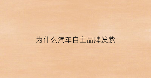 为什么汽车自主品牌发紫
