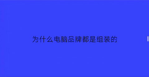 为什么电脑品牌都是组装的(为什么品牌电脑比组装电脑贵)