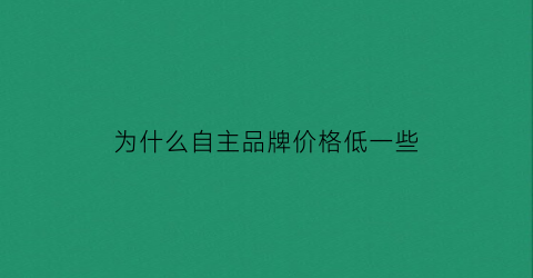 为什么自主品牌价格低一些(自主品牌被严重低估了吗)