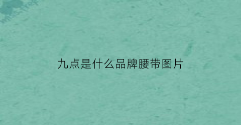 九点是什么品牌腰带图片(九点是哪里)
