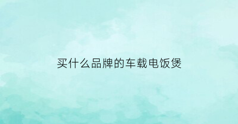 买什么品牌的车载电饭煲(车载电饭煲十大品牌)