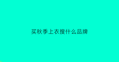 买秋季上衣搜什么品牌(买秋装衣服)