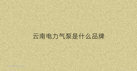 云南电力气泵是什么品牌(云南电气公司有哪些)