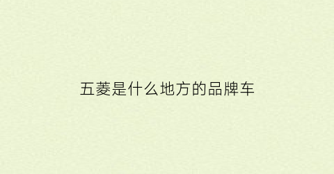 五菱是什么地方的品牌车(五菱是哪里牌子)