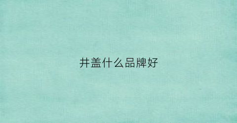 井盖什么品牌好(井盖品种)