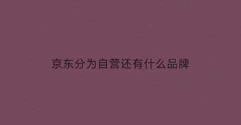 京东分为自营还有什么品牌(京东旗下自营店)
