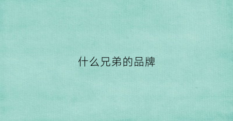 什么兄弟的品牌(兄弟是哪国的牌子)