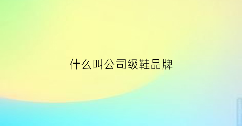 什么叫公司级鞋品牌