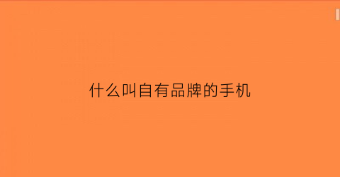 什么叫自有品牌的手机(什么叫自有品牌的手机号)