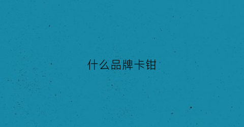 什么品牌卡钳(比较好的卡钳)