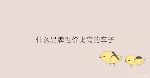 什么品牌性价比高的车子(什么品牌性价比高的车子最好)