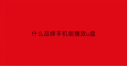 什么品牌手机能播放u盘(什么品牌手机能插优盘)