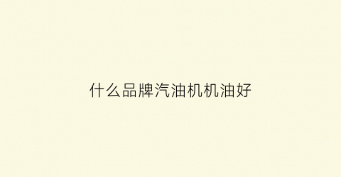 什么品牌汽油机机油好(什么牌子的汽油机好)