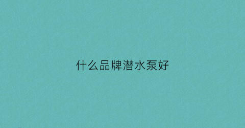 什么品牌潜水泵好(哪个品牌潜水泵好)