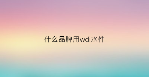 什么品牌用wdi水件(水件有哪些品牌)