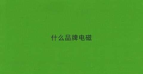 什么品牌电磁(什么品牌电磁炉炒菜好用)