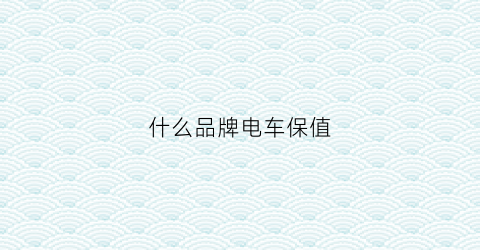 什么品牌电车保值(什么电动车保值)