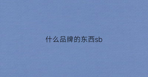 什么品牌的东西sb(什么品牌的东西最难买)