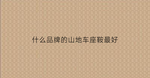 什么品牌的山地车座鞍最好(什么品牌的山地车座鞍最好最耐用)