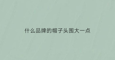 什么品牌的帽子头围大一点(什么牌子的帽子头围大)